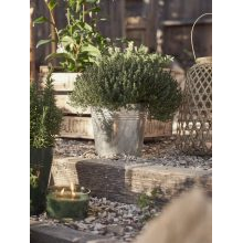 Available from 21 March 2024_Garden and summer cottage novelties from Sostrene Grene (45).jpg